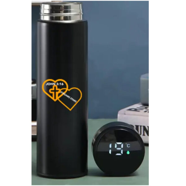Smart LED Temperature Water Bottle with Filter Infuser